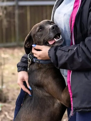 Zora möchte endlich ankommen - Deutschlandweite Vermittlung - Bild 3