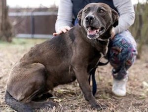 Zora möchte endlich ankommen - Deutschlandweite Vermittlung -