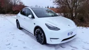 Tesla Model Y Model Y Performance Dual Motor AWD Bild 4
