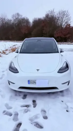 Tesla Model Y Model Y Performance Dual Motor AWD Bild 3