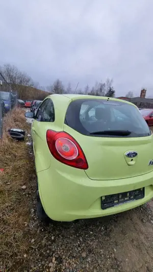 Ford Ka/Ka+ Ka 1.2 Trend Bild 4