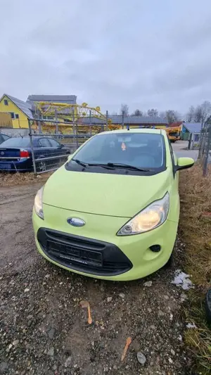 Ford Ka/Ka+ Ka 1.2 Trend Bild 3