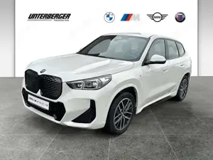 BMW iX1 xDrive30 SHZ LED DAB