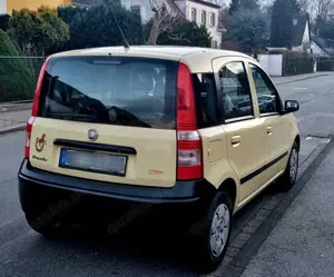 Fiat Panda 1.1 TÜV NEU Bild 2