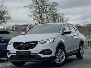 Opel Grandland X Edition |TOP AUSSTATTUNG|LED|SPUR|