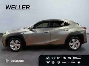 Lexus UX 250h F SPORT Design *Bi-LED*ACC*RCam*SHZ*PDC* Bild 5