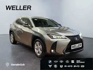 Lexus UX 250h F SPORT Design *Bi-LED*ACC*RCam*SHZ*PDC* Bild 4