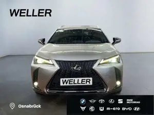 Lexus UX 250h F SPORT Design *Bi-LED*ACC*RCam*SHZ*PDC* Bild 2