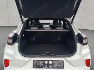 Ford Puma 1.0 EcoBoost Hybrid Aut. Sound Edition 114 kW Bild 5