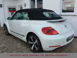 Volkswagen Beetle 1.2TSI CUP Xenon Fender Navi "Orixweiß" Bild 4