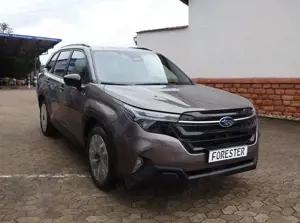 Subaru Forester 2.0ie Platinum 2025 Modell