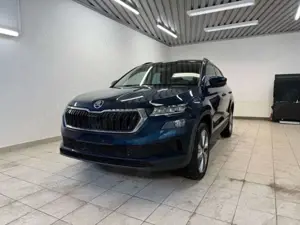 Skoda Karoq Bild 2