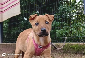 MADISON      kleines Herz sucht großes Glück