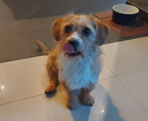 Livvy wartet auf deinen Besuch   