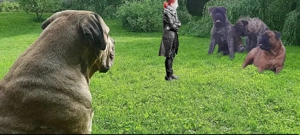 Bauland (  in Reichweiler, für 'Seniorenwohnheim' ...ca.1500m2 voll erschlossen