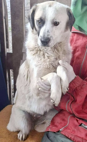 Hübsche Isi hofft auf ihre 2. Chance Bild 9