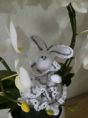 Oster Hase Geschenk Ideen 