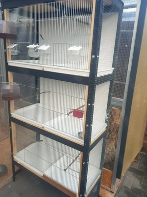 Zuchtanlage Zuverkaufen 