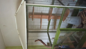Große Voliere für Vögel oder Chinchilla 