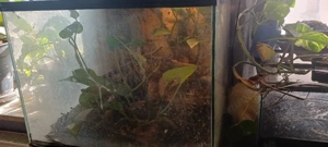 2 ältere Spinnenterrarien(bei 1 Türöffnung defekt) 