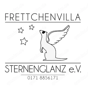 Frettchen aus dem Frettchen Tierheim 