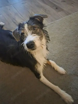 Schlaue Stella - sie will noch viel lernen und erleben