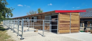 Außenstall & Pferdestall bauen - robuste Stallboxen, ideale Ställe für Pferde Bild 10