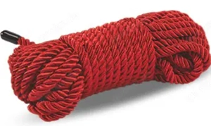 Suche Fi.. und Spielkameradin