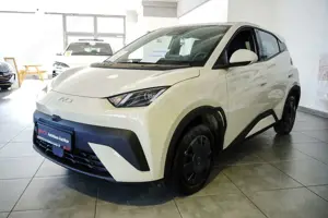 BYD Dolphin SURF ACTIVE FÖRDERFÄHIG! Bild 3