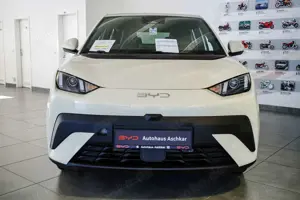 BYD Dolphin SURF ACTIVE FÖRDERFÄHIG! Bild 2