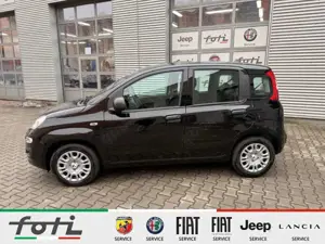 Fiat Panda 1.0 GSE 70PS Klima PDC DAB+ Radio Bild 3