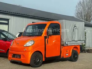 Ligier Others PROFESSIONAL Microcar Flex Mopedauto Truck 45 KM