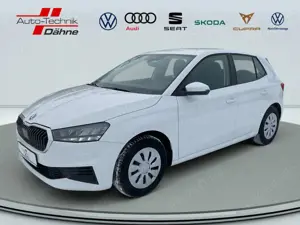 Skoda Fabia 1.0 MPI Ambition KLIMA PDC SHZ LED