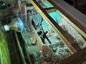 Terrarium für Leopard Geckos 