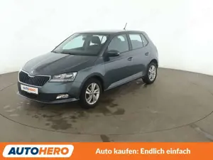 Skoda Fabia 1.0 TSI Ambition*CAM*PDC*SHZ*LIM*KLIMA*