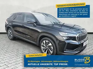 Skoda Kodiaq 2.0 TDI DSG Selection 7Si Matrix AHK 360°