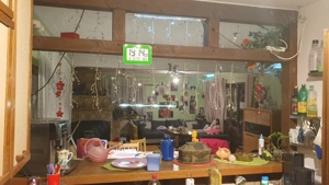 Suche Single Mitbewohnerin (Mietfrei) Haus 150qm Garten 600qm. Bild 5