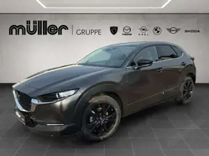 Mazda CX-30 X 186 PS 6AT FWD HOMURA