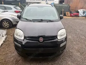 Fiat Panda My Panda 1.2 L Benziner