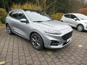 Ford Kuga Kuga 1.5 EcoBoost ST-LINE X *MIT AHK UND PANO*