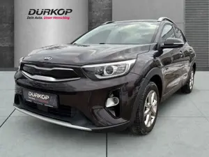 Kia Stonic Spirit 1.2 NAVI Kamera LED CarPlay Keyless Klimaau