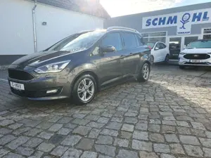Ford Grand C-Max Grand C-MAX Navi 7 Sitzer Allwetter