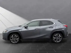 Lexus UX 250h 250 h*STYLE*CARPLAY*PDC*15 JAHRE GARANTIE Bild 2