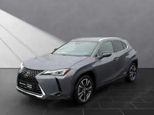 Lexus UX 250h 250 h*STYLE*CARPLAY*PDC*15 JAHRE GARANTIE