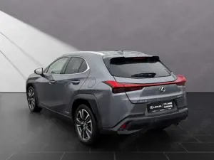 Lexus UX 250h 250 h*STYLE*CARPLAY*PDC*15 JAHRE GARANTIE Bild 3