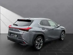 Lexus UX 250h 250 h*STYLE*CARPLAY*PDC*15 JAHRE GARANTIE Bild 5