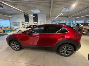 Mazda CX-30 Skyactiv X 2.0 M Hybrid 186 PS AT Selection DES-P Bild 4
