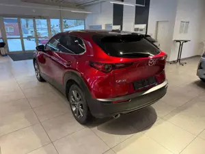 Mazda CX-30 Skyactiv X 2.0 M Hybrid 186 PS AT Selection DES-P Bild 5