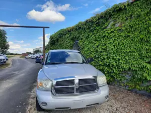 Dodge Dakota SLT Bild 3