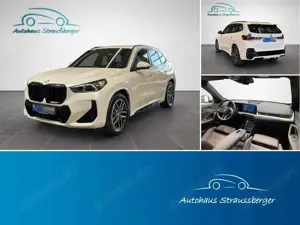 BMW X1 23 d xDrive M Sport ACC AHK LED SHZ RFK QI